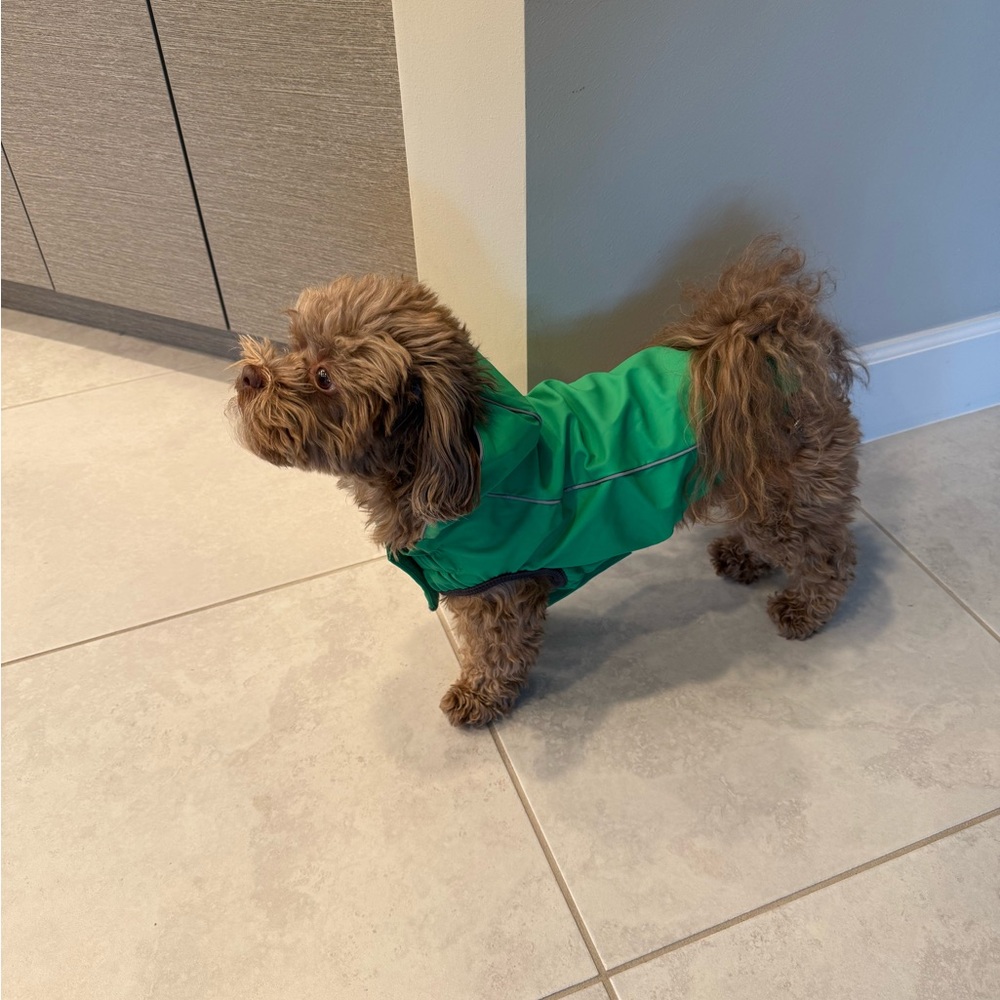GT Pet Reversible Raincoat in Aqua and Silver with hood - Picture 6 of 6
